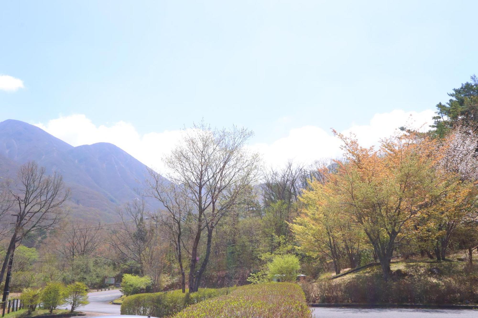 Hokkein-Onsen Kougen-Terrace Hotel Kokonoe Ngoại thất bức ảnh